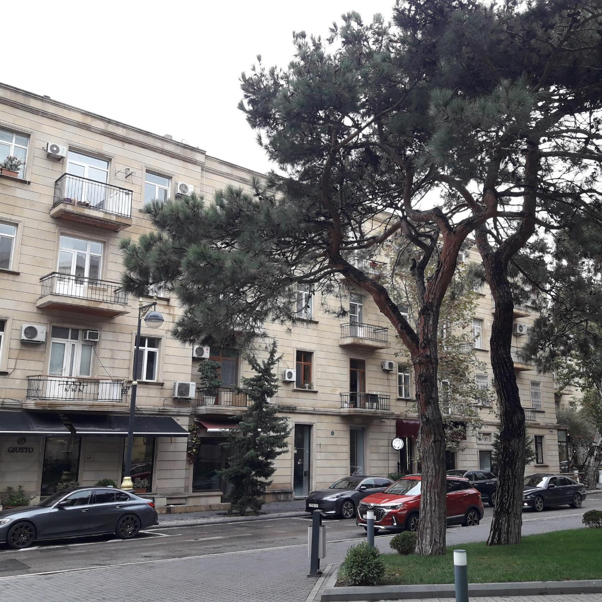Apartment Niyazi 5 バクー エクステリア 写真